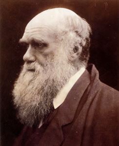 Charles Darwin