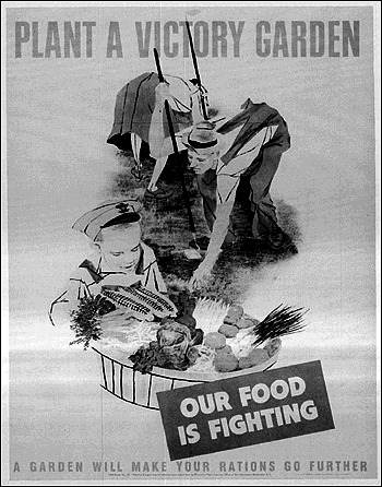 Victory Gardens In World War Ii